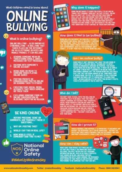 Online Unkind Actions/Bullying