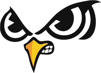 Owl Eyes