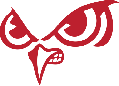 Owl Eyes