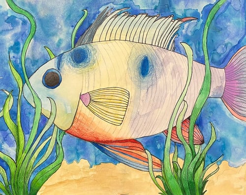 Middle School Art