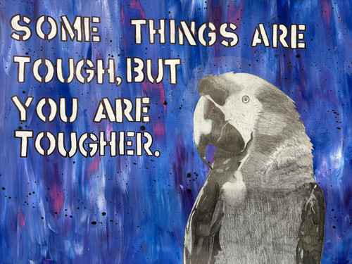 Pelican with message: Some Things are Tough, but You are Tougher