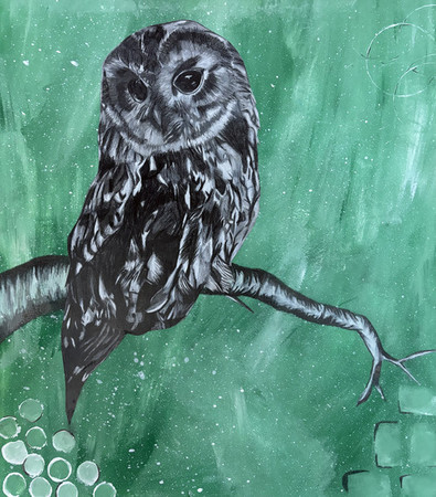 Owl sitting on tree branch with green background
