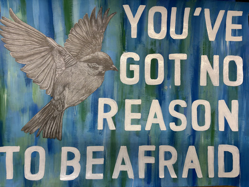 Flying bird with message You've Got No Reason to Be Afraid