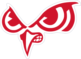 Slinger HS Owl