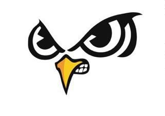 Owl Eyes